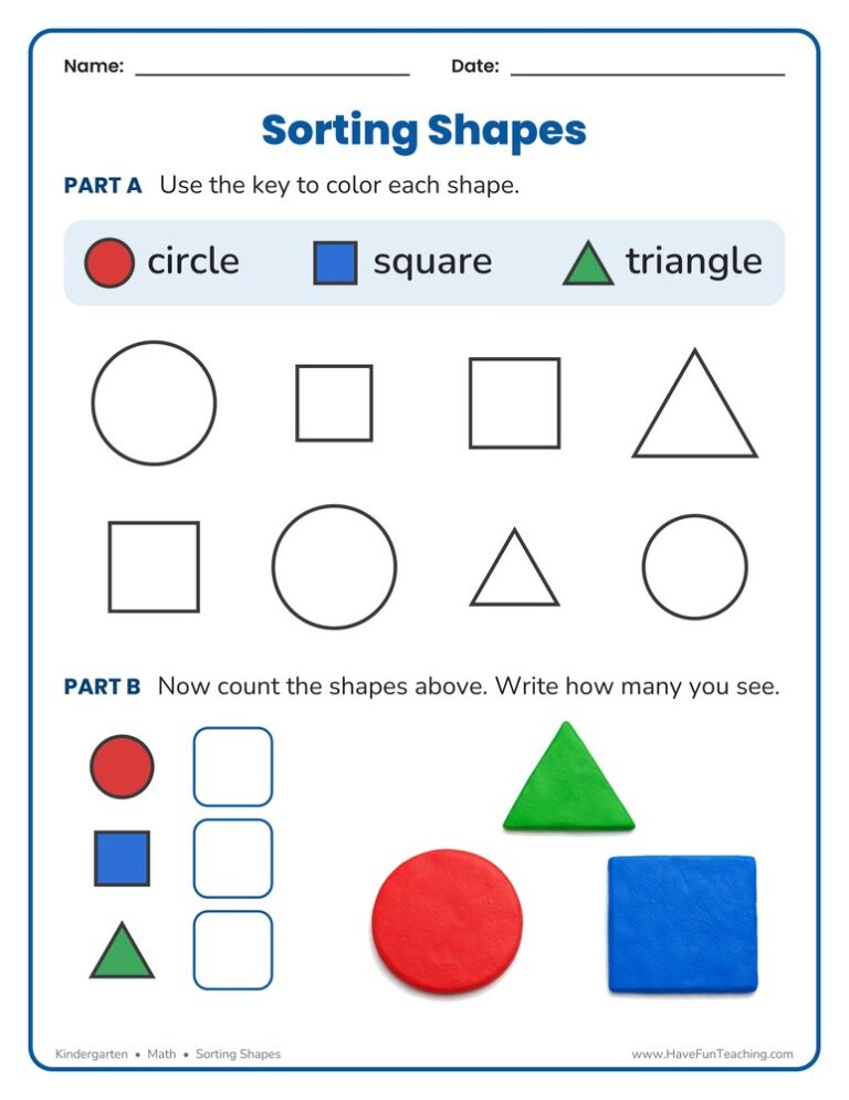 Sorting Shapes Worksheet