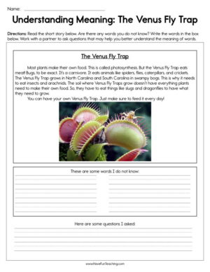 Understanding Meaning The Venus Fly Trap Worksheet