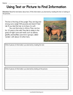 Using Text or Pictures to Find Information Worksheet