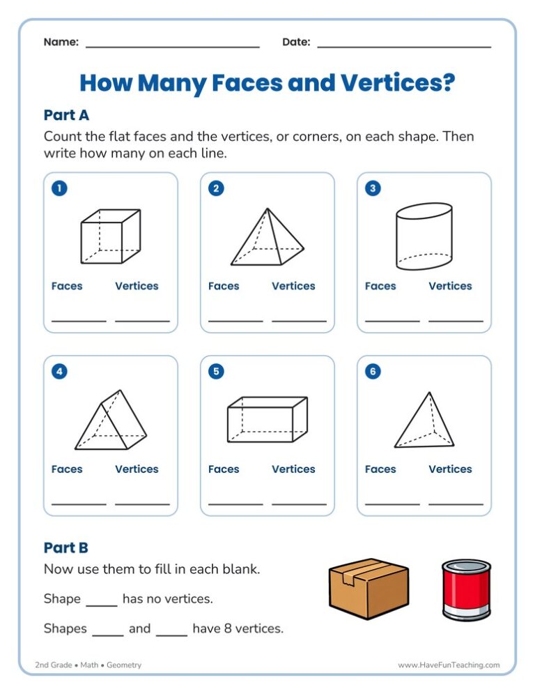 How Many Faces and Vertices? Worksheet