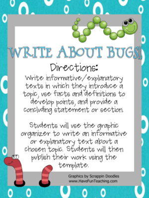 Write about Bugs Activity