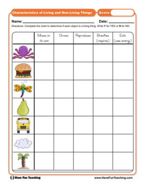 Characteristics of Living and Non-Living Things Worksheet