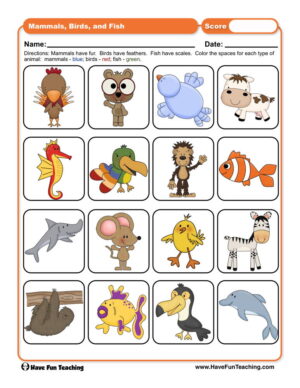 Mammal Birds and Fish Worksheet