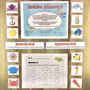Seaside Symmetry Activity